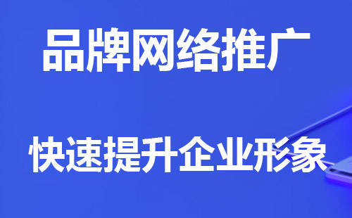 2022年企业网络推广